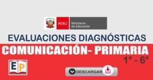 evaluación de entrada