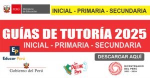 Tutoría 2025
